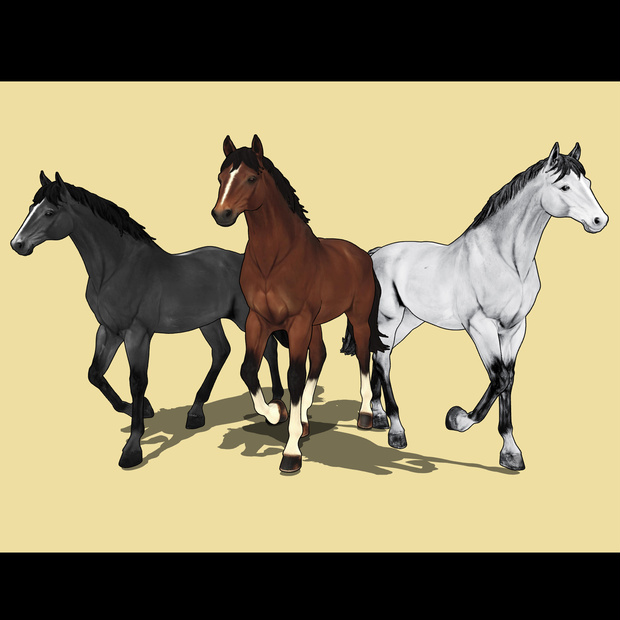 3D 可動駿馬