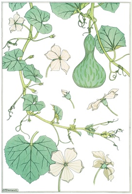 Png画像 ヘチマの花デザイン アール ヌーヴォーイラスト アンティーク レトロ イラスト画像素材 Booth