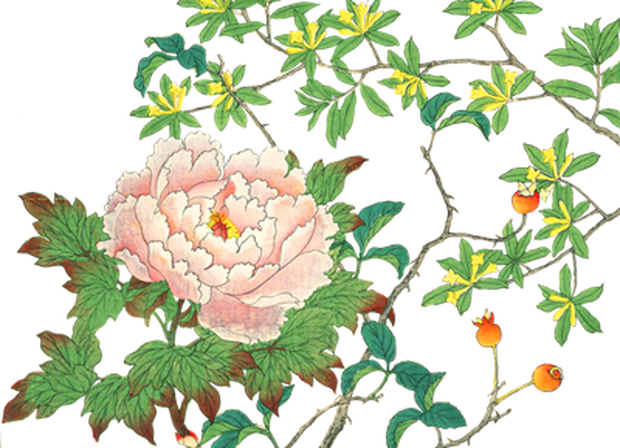 PNG画像：牡丹アンティークイラスト素材
