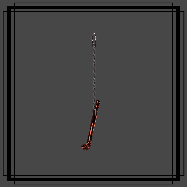 Pipe Earring