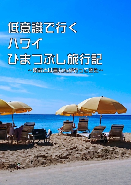 低意識で行くハワイ ひまつぶし旅行記 何故とは言わんが行ってきた 閉じ括弧enter Booth