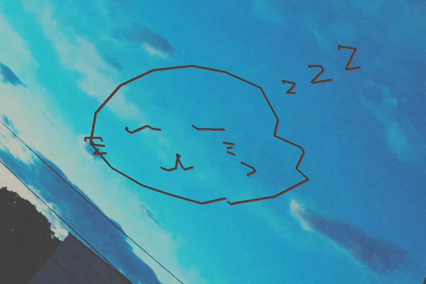 あざらしの赤ちゃんとかなり大きいハチ