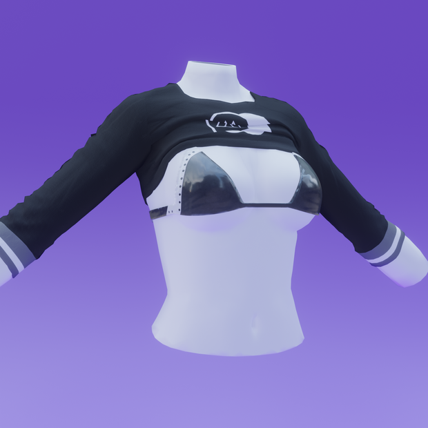 Sleeved Crop Top and Bra