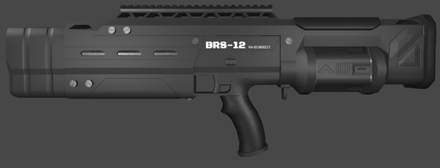 BRS-12