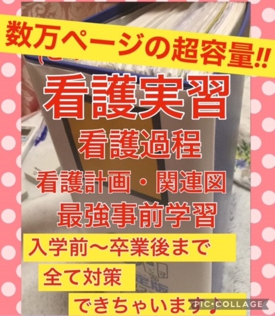 専用 看護学生 アセスメント 関連図 急性期 周手術期 パンフレット 