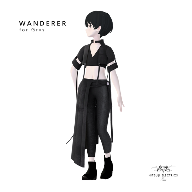 WANDERER for Grus