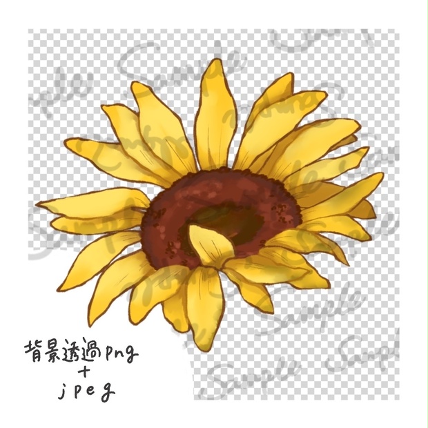 ひまわりのイラストの手書き素材_花のみ_横向き（おしゃれで綺麗