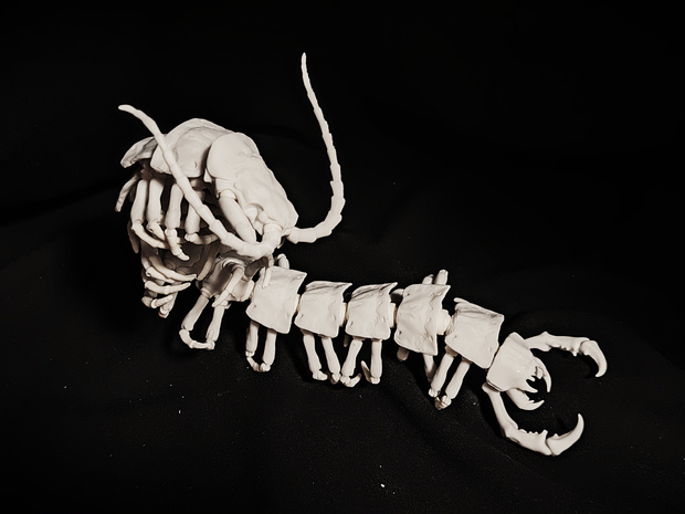 ​【光造形3Dプリンター出力用STLデータ】多重可動「骨ムカデ」/ Articulated Skeleton Centipede 3D Printable STL