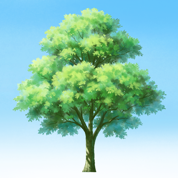背景素材　木　PSD