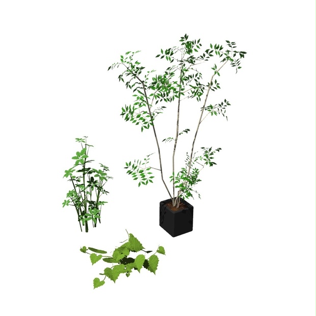 【3D素材】植栽｜FBX/OBJ/DXF｜商用利用可