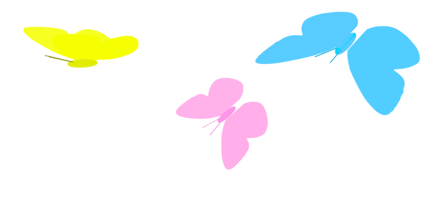 羽ばたく蝶-Flapping butterfly wings-