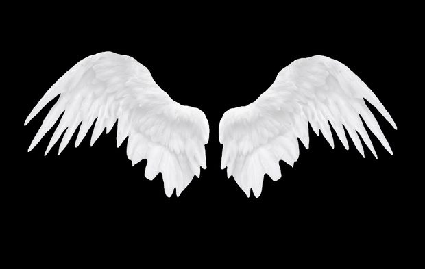 AngelWings -3D-