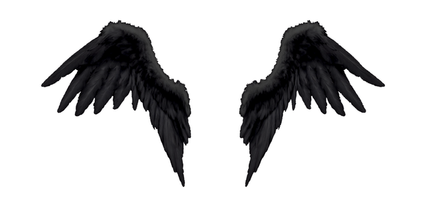 Black Wings - 3D -