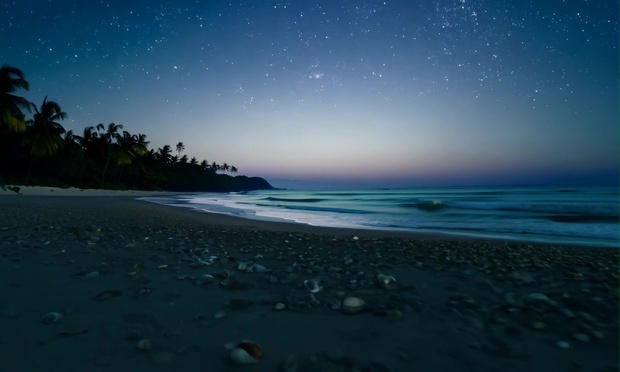 夜の浜辺の動画。4K高画質版