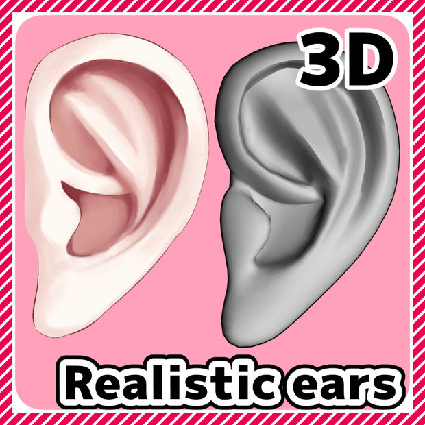 【クリスタ3D素材】realistic ears 3D