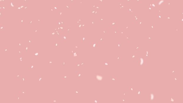 【クレジット表記不要の高解像度版】桜の花びらが舞う春のアニメーション背景素材【ピンク】[High-res version with no attribution required] Cherry Blossoms Fluttering Down, Pink Looping Background