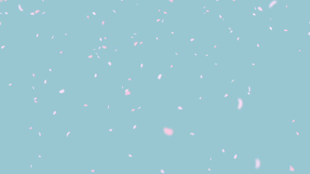 【クレジット表記不要の高解像度版】桜の花びらが舞う春のアニメーション背景素材【スカイブルー】[High-res version with no attribution required] Cherry Blossoms Fluttering Down, Sky Blue Looping Background