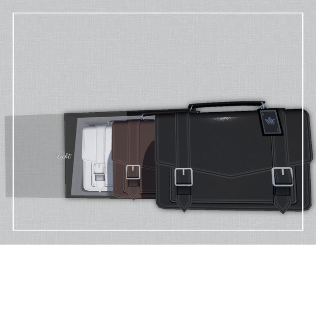 Bag