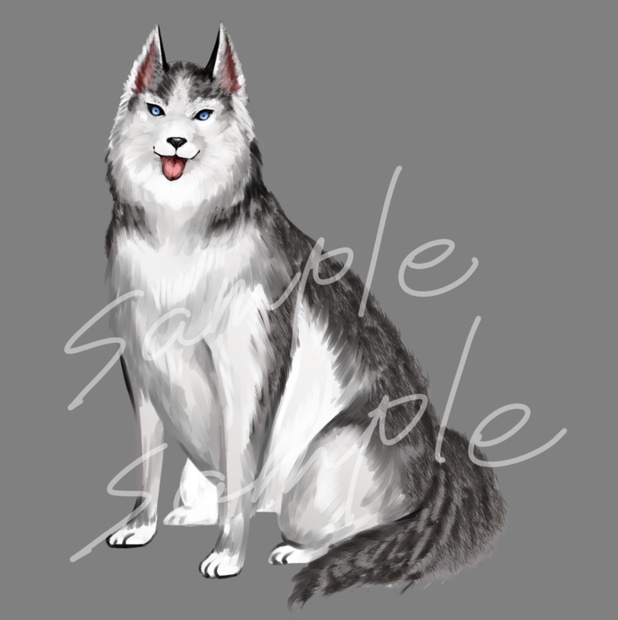 イラスト素材　ハスキー犬