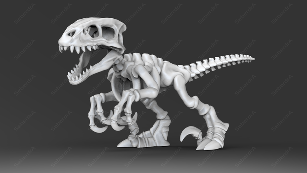 3D model of Raptor Skeleton STL for 3D print