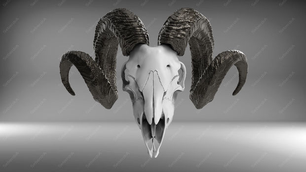 Goat Skull V1 STL for 3Dprint