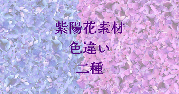紫陽花素材、紫陽花ブラシ