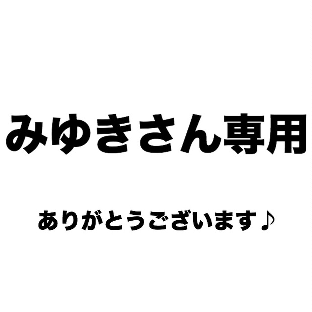 みゆきさんご専用 - その他