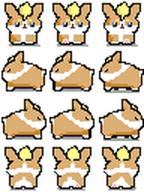 犬みち