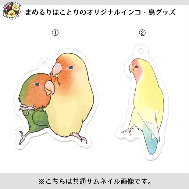 かわいいコザクラインコ様のアクリルキーホルダー【まめるりは