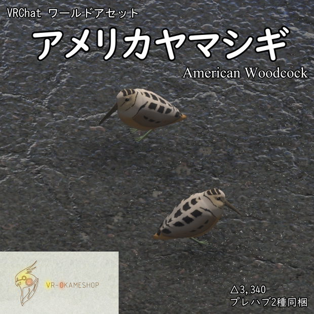 VRChatワールド向けアセット「中々目の前を横切ってくれないアメリカヤマシギ」