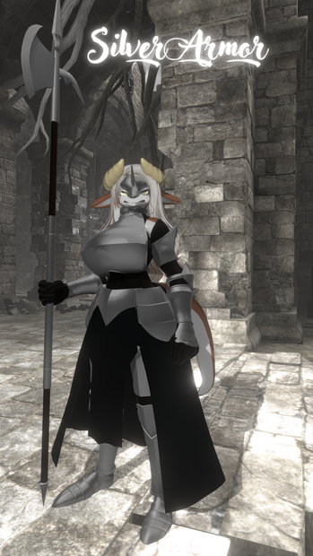 【Lehner対応衣装】SilverArmor