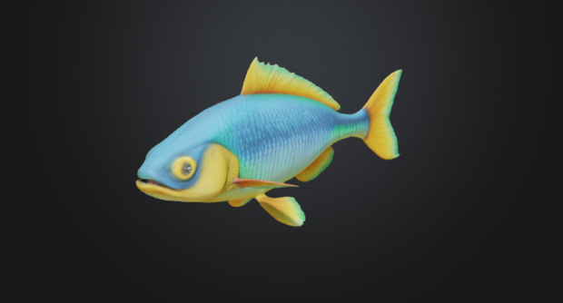 FISH