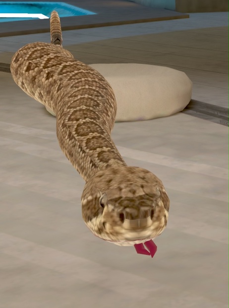ガラガラヘビ（ratlesnake:Crotalus Linnaeus） - レンロズ - BOOTH