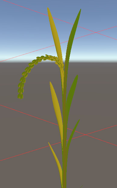 米（rice:Oryza sativa）