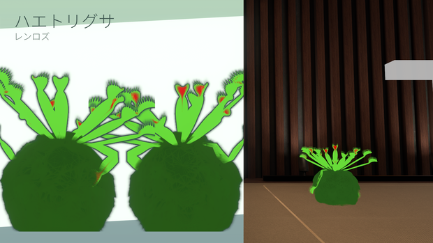 ハエトリグサ（Venus flytrap：Dionaea muscipula）
