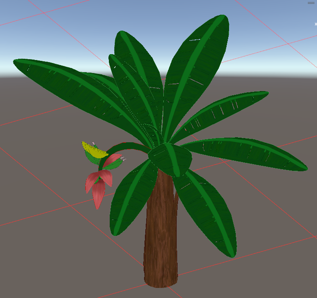ばなな（Banana：Musa acuminata 'Dwarf Cavendish'）