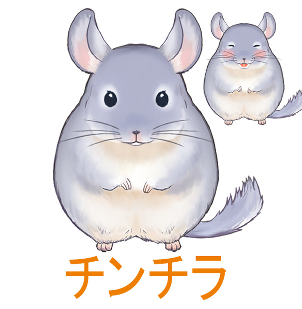 Live2d  チンチラ【FaceRig/VTS/Animaze】Chinchilla