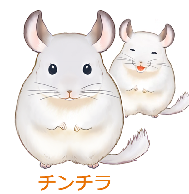 チンチラ　chinchilla　vtubestudio　Vtuber
