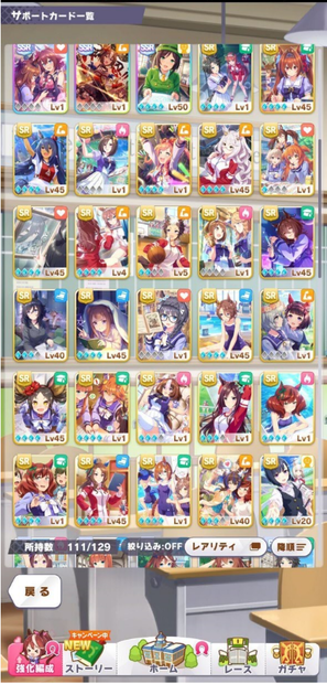 ano_aaa256様専用