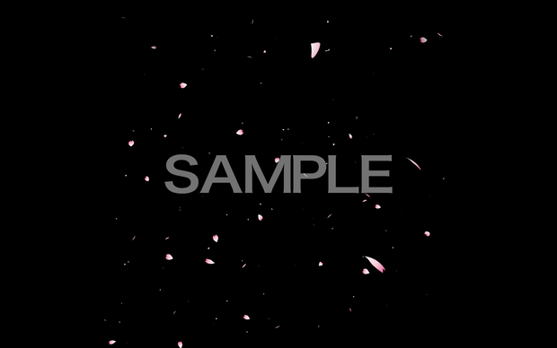 桜_背景素材