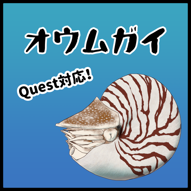 [VRchat想定]オウムガイ -nautilus-