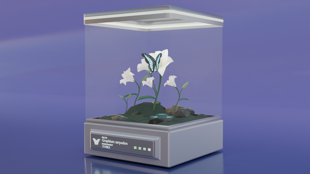 Butterfly  Pod　蝶のテラリウムインテリア(ループアニメーション付き)