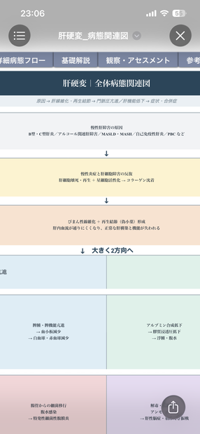 肝硬変 病態関連図｜病態生理・症状・観察・看護がつながる基礎学習シート【Excel】