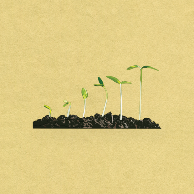 【無料版あり】『Detachment』-観察/チル/cafe music/心地良い/ローファイ-