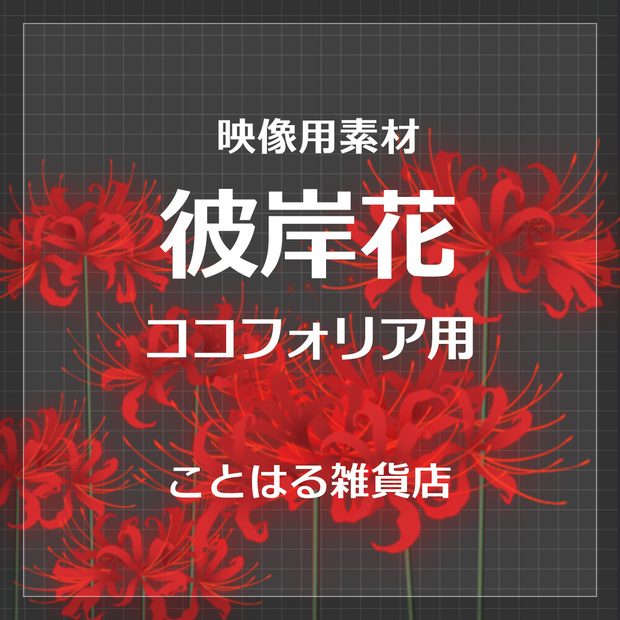 【ココフォリア素材】彼岸花