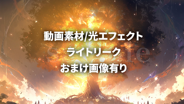 【動画素材】ライトリーク５種類セット※おまけ有り