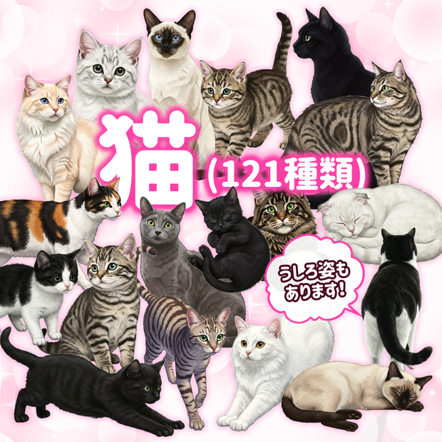《猫121枚》(透過素材)(白黒、三毛、スコティッシュフォールド、シャム、シマネコ、メインクーン、ベンガル、ロシアンブルー等々)