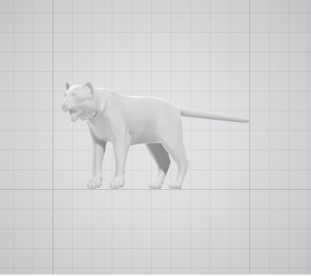 3dモデル　猫