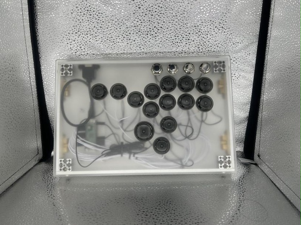 (オーダー品）KD-05　フロスティ　RPP　10ボタンカスタム