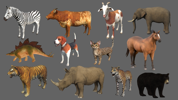 Wild Life Animals Collection 
